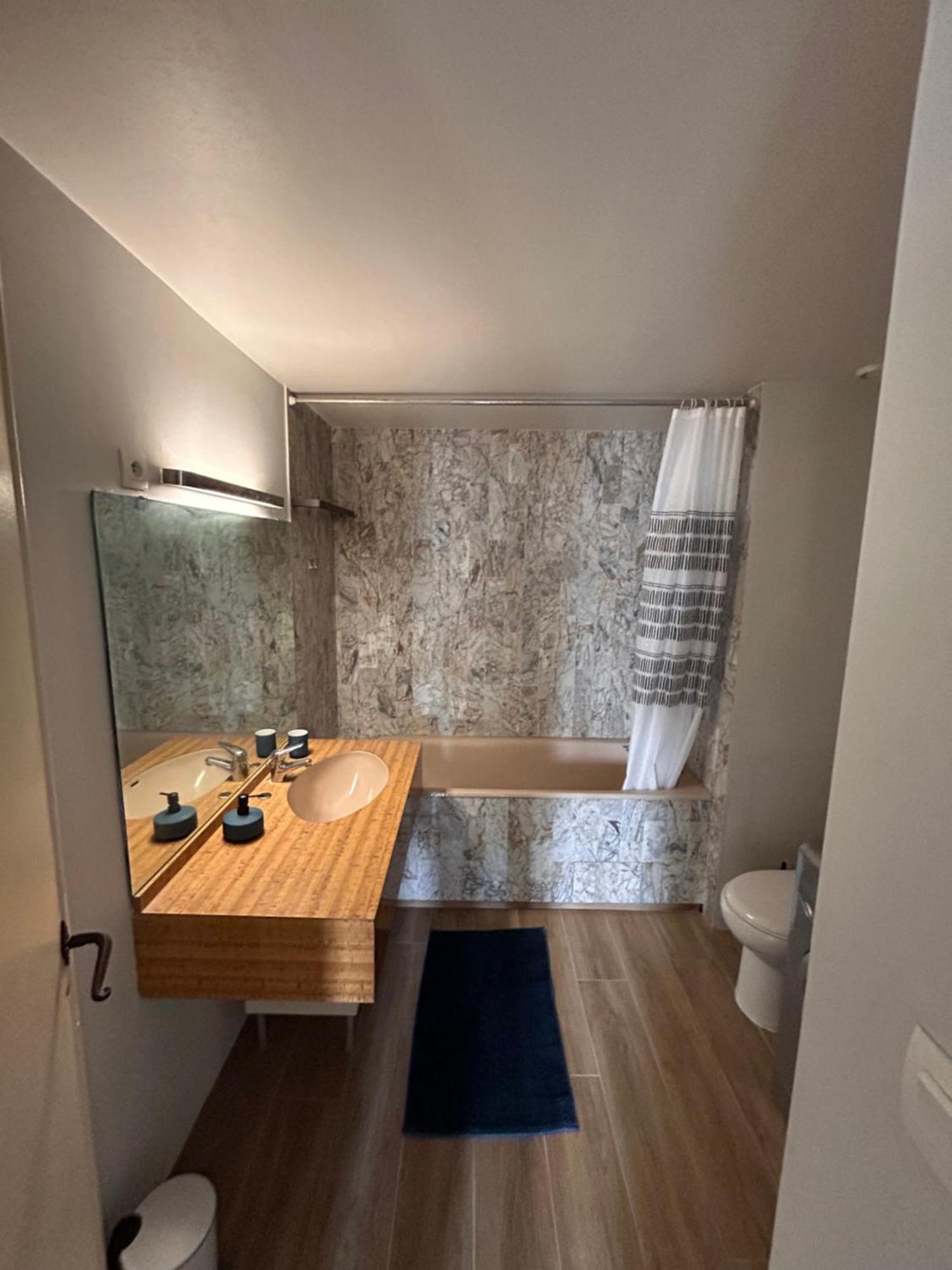 Appartement Centre Toulouse